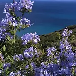 Villa Kaminia Blu Ratzaklíon