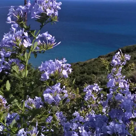 Βίλα Kaminia Blu Ρατζακλί